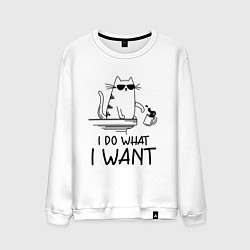 Мужской свитшот Я делаю что хочу
