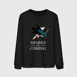 Свитшот хлопковый мужской Sharks are coming, Сан-Хосе Шаркс San Jose Sharks, цвет: черный