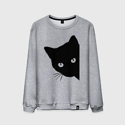 Свитшот хлопковый мужской Всё тот же чёрный котяра!, цвет: меланж