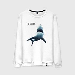 Свитшот хлопковый мужской Акула - топ менеджер, цвет: белый