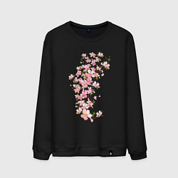 Свитшот хлопковый мужской Весна Цветущая сакура Japan, цвет: черный