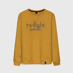 Мужской свитшот Logo Twilight