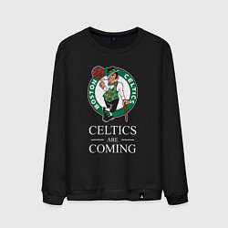 Мужской свитшот Boston Celtics are coming Бостон Селтикс