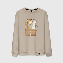 Свитшот хлопковый мужской Catanic, цвет: миндальный