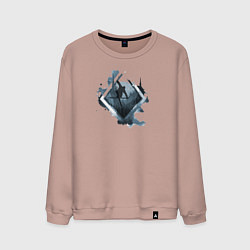 Свитшот хлопковый мужской Горные Лыжи, цвет: пыльно-розовый