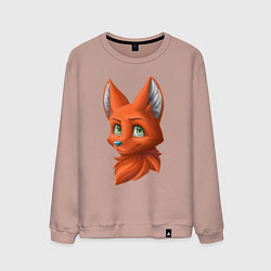 Мужской свитшот Милая лисичка Cute fox