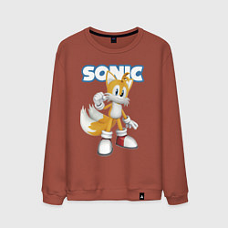 Свитшот хлопковый мужской Майлз Тейлз Прауэр Sonic Видеоигра, цвет: кирпичный