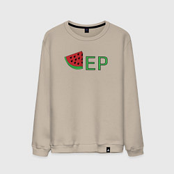 Мужской свитшот Арбузер DR Абьюзер