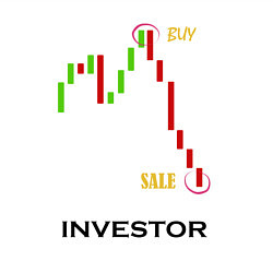 Свитшот хлопковый мужской Investor, цвет: белый — фото 2