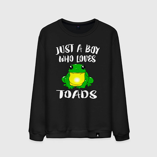 Мужской свитшот Просто мальчик, который любит жаб / Черный – фото 1