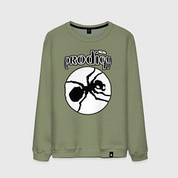 Свитшот хлопковый мужской The prodigy ant, цвет: авокадо