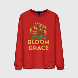 Свитшот хлопковый мужской Bloom with grace, цвет: красный