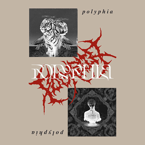 Мужской свитшот Polyphia / Миндальный – фото 3