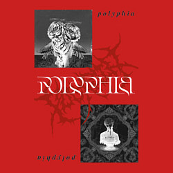 Свитшот хлопковый мужской Polyphia, цвет: красный — фото 2