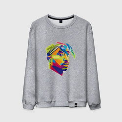 Свитшот хлопковый мужской 2PAC Style, цвет: меланж