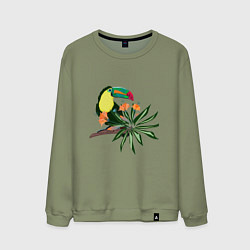 Свитшот хлопковый мужской Птица тукан с цветами и листьями, цвет: авокадо