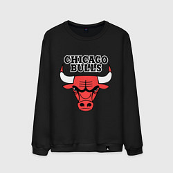 Мужской свитшот Chicago Bulls