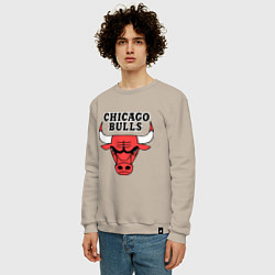 Свитшот хлопковый мужской Chicago Bulls, цвет: миндальный — фото 2