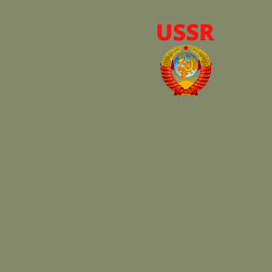 Свитшот хлопковый мужской USSR логотип, цвет: авокадо — фото 2