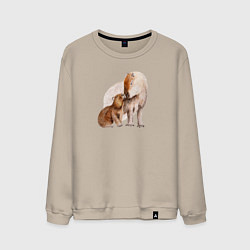 Свитшот хлопковый мужской Капибары мать и дитя, цвет: миндальный