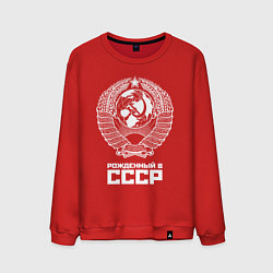 Свитшот хлопковый мужской Рожденный в СССР Союз Советских Социалистических Р, цвет: красный