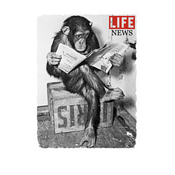 Свитшот хлопковый мужской LIFE NEWS:monkeys, цвет: белый — фото 2