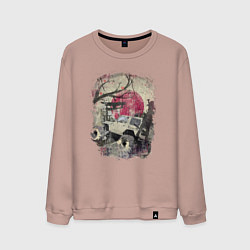 Мужской свитшот Бездорожье Азия