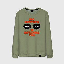 Свитшот хлопковый мужской TOTAL CONTROL, цвет: авокадо