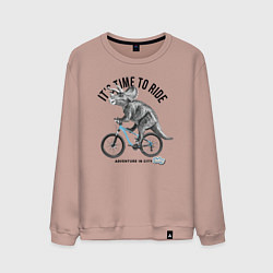 Свитшот хлопковый мужской Путешествие на велосипеде, цвет: пыльно-розовый