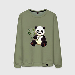 Свитшот хлопковый мужской Панда кушает бамбук, цвет: авокадо