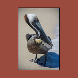 Свитшот хлопковый мужской Пеликан у моря, цвет: кирпичный — фото 2