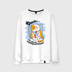 Мужской свитшот Толстый кот Жрать это что-то невероятное