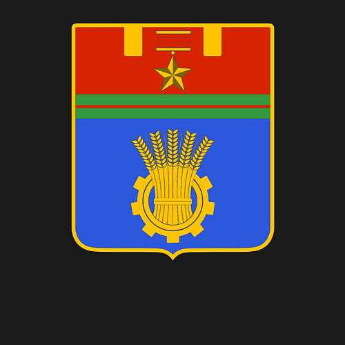 Мужской свитшот Герб Волгограда / Черный – фото 3