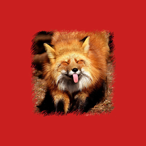 Мужской свитшот Лиса показывает язык / Красный – фото 3