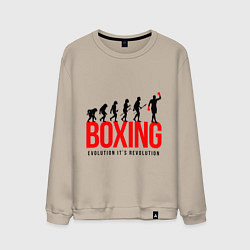 Свитшот хлопковый мужской Boxing evolution, цвет: миндальный