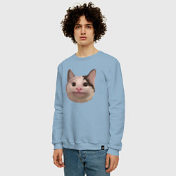 Свитшот хлопковый мужской Polite cat meme, цвет: мягкое небо — фото 2
