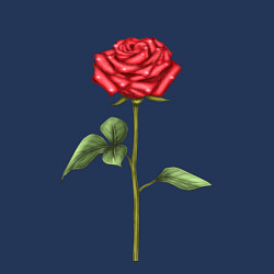 Свитшот хлопковый мужской Роза красная, цвет: тёмно-синий — фото 2