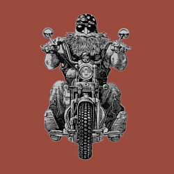 Свитшот хлопковый мужской Ride biker, цвет: кирпичный — фото 2