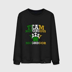 Мужской свитшот Team Notorious