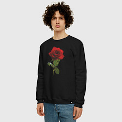Свитшот хлопковый мужской Красивая красная роза, цвет: черный — фото 2