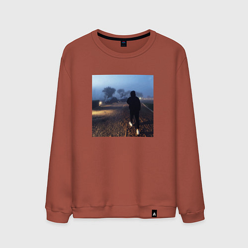 Мужской свитшот Pharaoh Philarmonia / Кирпичный – фото 1