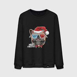 Свитшот хлопковый мужской Pug christmas, цвет: черный