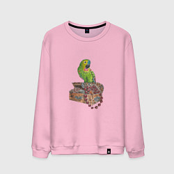 Свитшот хлопковый мужской Зеленый попугай на сундуке с сокровищами, цвет: светло-розовый
