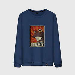 Мужской свитшот Obey frog