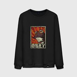Мужской свитшот Obey frog