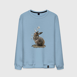 Мужской свитшот Bubble rabbit