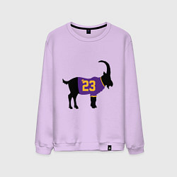 Мужской свитшот Greatest Lebron