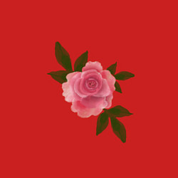 Свитшот хлопковый мужской Размытая акварельная роза, цвет: красный — фото 2