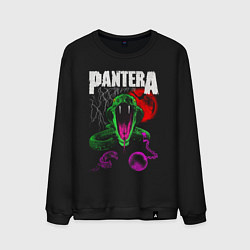 Мужской свитшот Pantera rock