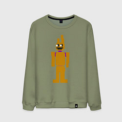 Свитшот хлопковый мужской Spring Bonnie, цвет: авокадо